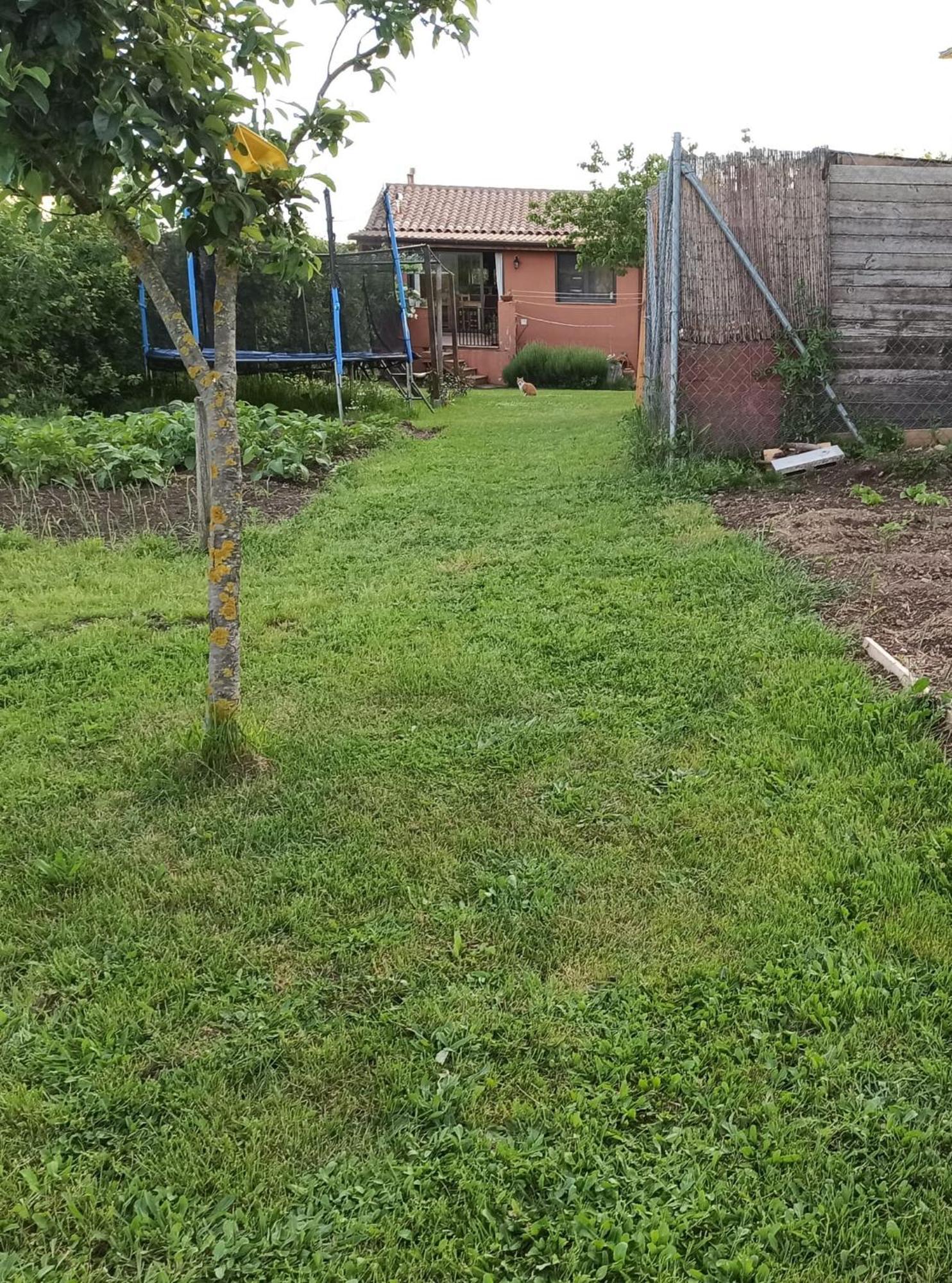 Alojamiento Compartido Cantroncxic San Pedro de Torelló Dış mekan fotoğraf